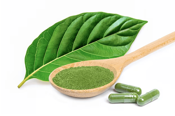 Premium Kratom Powder - Fast Shipping to US & Europe