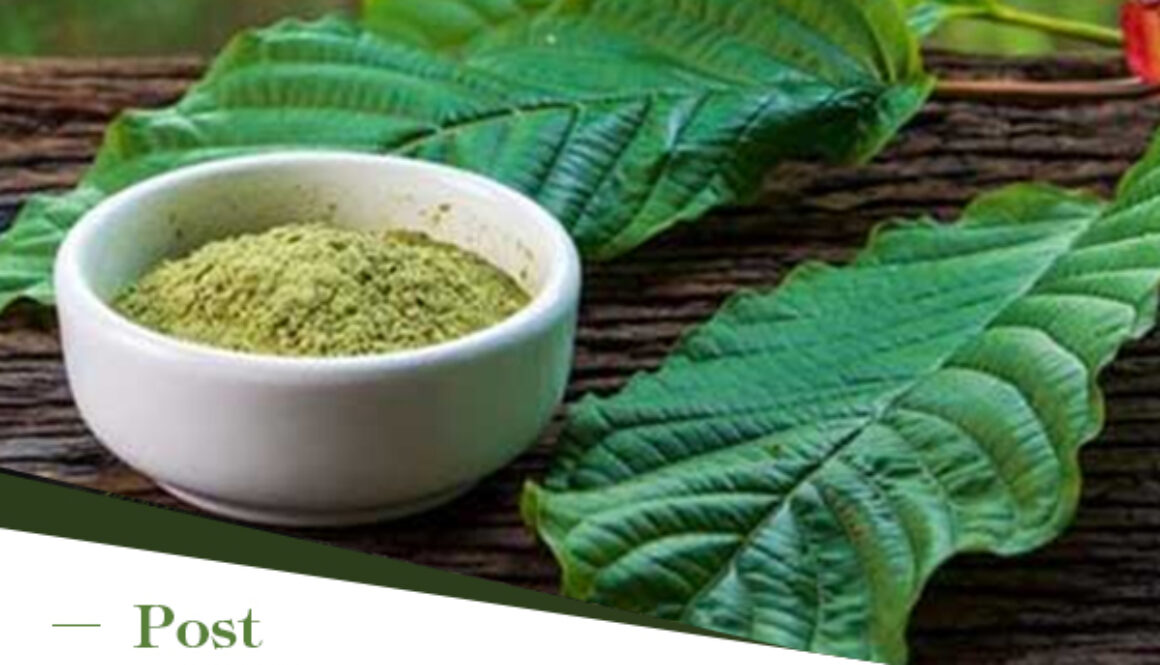 kratom powder export