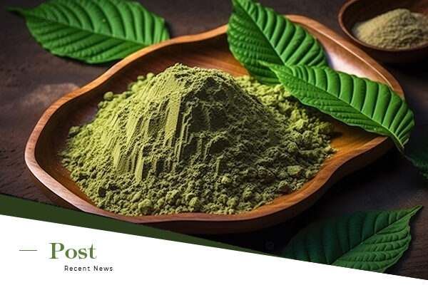 kratom powder supplier